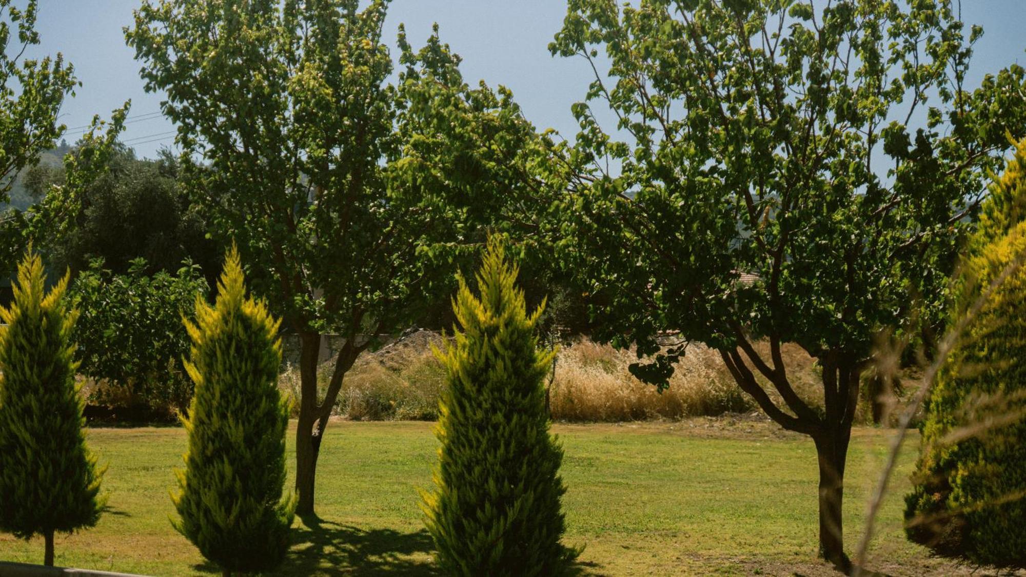 Çeşme Vela Garden Resort מראה חיצוני תמונה